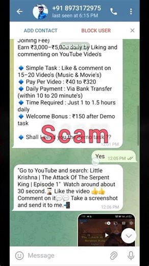 youtube video like scam