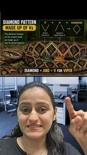 Snake identification easy tricks in 30 sec| FMT mnemonics |Dr.Nikita