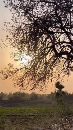 🌾🚜 1 Minute Farming Reality | Kisan Ki Asli Zindagi 😍💪 #shorts