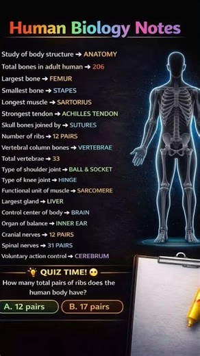 Human Body Facts 🤯 | How Many Ribs Do You Have? #shorts