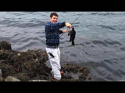Jetty Fishing Sweeper Cove - Adak Alaska