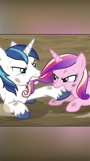 HOW DID PRINCESS CADANCE AND SHINNING ARMOR MEET?