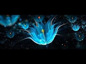 FREE GOSPEL PIANO LOOPS (Royalty Free)