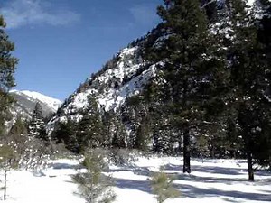 Steam Whistle Echos in the Mountains