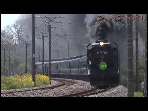 蒸気機関車大好き【子ども向け】【SL動画】【SLばんえつ物語】Steam Locomotive in Japan/lokomotif uap Jepang
