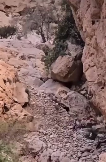 فيديوهات أنشأها 7️⃣ محمد مشافي العسيري 7️⃣ (@mo7mmd707) باستخدام الصوت الأصلي - 7️⃣ محمد مشافي العسيري 7️⃣