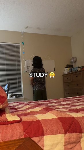 Anatomy and Physiology Exam Study Routine — Last-Minute Tips