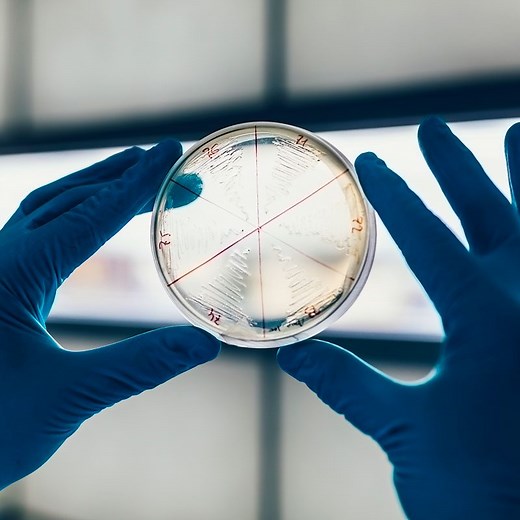 How scientists learn | TED Playlist