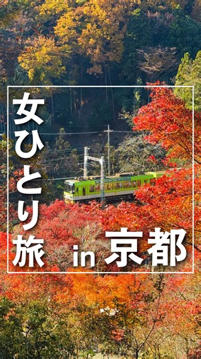 なお@女ひとり旅 on Instagram: "【 女ひとり旅 in京都 】今回行った場所はこちら↓ ⠀ ⠀ 07:40 喫茶 喜心 Kyotoでモーニング ⠀↓ 09:00 総本山 智積院 ⠀↓ 10:00 出町ふたば ⠀↓ 11:00 叡山電車 もみじのトンネル ⠀↓ 11:45 白龍園 ⠀↓ 12:30 鞍馬寺 ⠀↓ 15:30 法然院＆安楽寺 ⠀ ⠀ 去年は定番スポットを回ったので 今年は人の少なそうな穴場スポットへ🍁 ⠀ 本当はもっと穴場スポットに行く予定 だったんだけど、鴨川から見た紅葉が 本当に綺麗で足が北に向かってた😂 ⠀ 京都はまだまだ紅葉が見頃なので ぜひ行ってみてください🥹✨ ⠀ ⠀ 各スポットの詳しい情報は また投稿予定なのでそちらも見てね🙋‍♀️ ⠀ ⠀ 𓂃𓂃𓂃𓂃𓂃𓂃𓂃𓂃𓂃𓂃𓂃𓂃 ⠀ #ひとり旅 #ひとり旅女