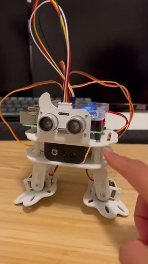 Pisloth Robot - Raspberry pi 4
