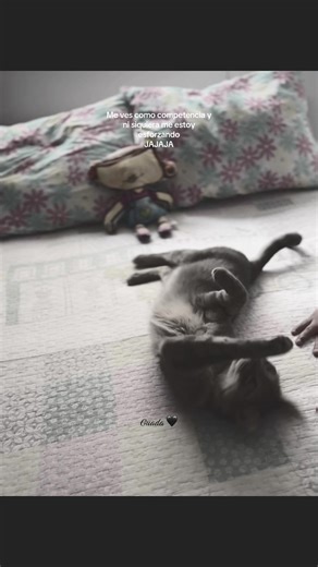 Ni siquiera / ig: Prada Guadalu