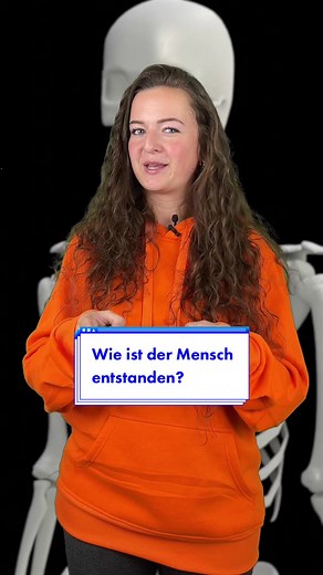 Entwicklung des Menschen: Vom Vormenschen zum aufrechten Gang