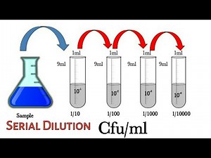How to Calculate CFU|Serial Dilution |Microbiology Technique knowledge of biology
