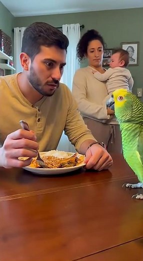 Loro Defiende a la Esposa y Pone en Su Lugar al Marido 😳🦜💪 | Mensaje Poderoso