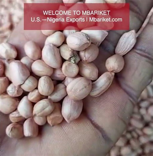 Exporting Raw Nigerian Peanuts for Export | Uyo, Akwa Ibom State