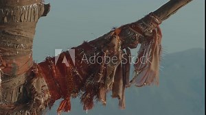 red fabric tied around a tree displaying hindu religion in india