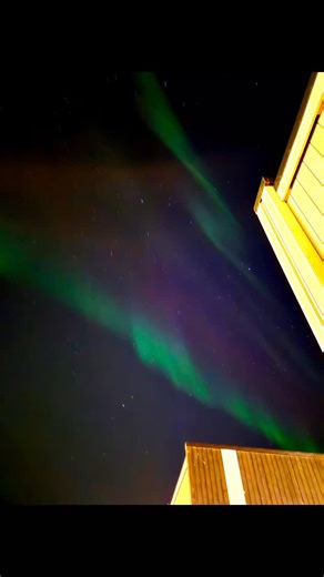 Amazing Aurora 🥹🫶🌌 Northern light in Finnsnes, 27.10.25 #aurora #northernlights #norway #amazing | Елена Стефанович