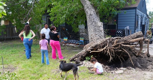 Alice neighbors picking up the pieces after tree falls on house from intense storm