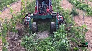 32K views · 291 reactions | All-around weeder RADIUS SL, the eco-friendly alternative to chemical weed control!  // RADIUS SL, die umweltfreundliche Alternative zur chemischen Unkrautbekämpfung!  | CLEMENS Technologies | Facebook