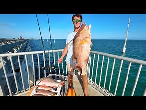 Land-Based Fisherman's Paradise | Bridge Fishing Catch and Cook