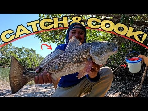They Can’t RESIST This LIVE BAIT! (Tampa Bay Fishing)