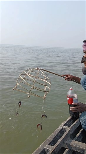 Fishing techniques using hook bait Fishing idea in river 04 #fishinglife #fishingvideo #fishing #fyp