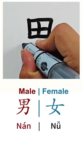 How to Write MALE & FEMALE in Chinese language Nan男 & Nu女 in Chinese Characters Handwriting