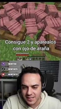 The BEST EXP FARM in MINECRAFT | Nenitoo