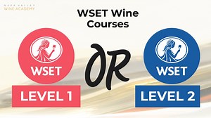 "WSET Level 1 & 2 Wine Awards: Starting Point?" Jean Cox, our instructor, highlights the key differences between WSET Level 1 and 2. 🍷 WSET Courses: https://bit.ly/3upzdFv #wset1 #wset2 #wineeducation #napavalleywineacademy | Napa Valley Wine Academy