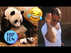 Top 10 Viral Videos of 2017