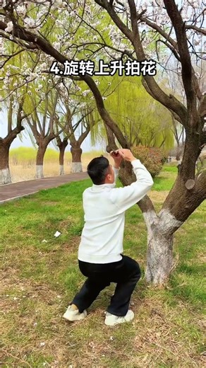 Capture the Beauty: Master Flower Photography in 4 Shots