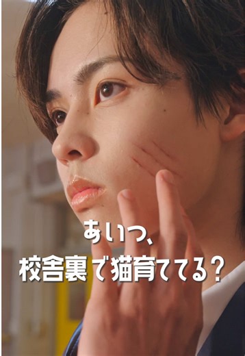 猫と一緒に過ごす日常のショートドラマ