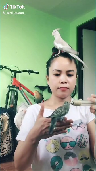 Sun Conure Speaking Unexpectedly!