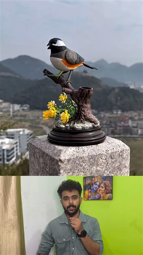 തനിയെ പാട്ട് പാടുന്ന കിളി👌🏻