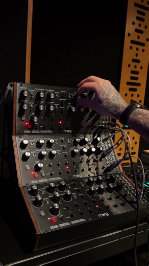 Moog DFAM SCI-FI Duties #techno #synth #electronicmusic #synthesizer #dj #rave #moog #hypnotic