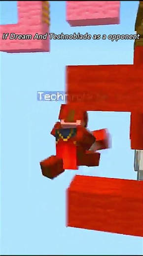 If Dream And Technoblade as a opponent #minecraft
