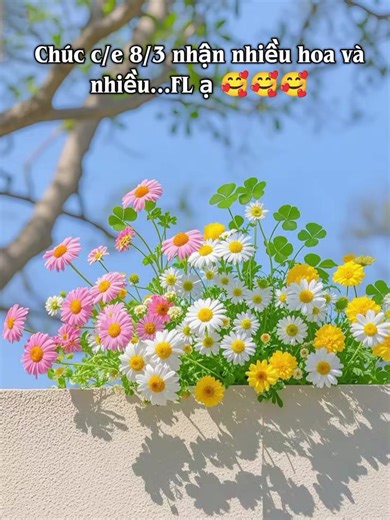 Tập xây kênh Xin tặng và nhận FL nhiệt tình ạ! #nguoimoixaykenh #boloc24h #xaykenhtiktok #fpt