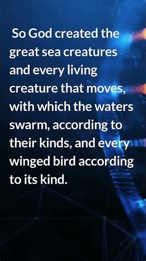 Divine Wonder — Life in the Seas and Birds in the Sky | Gen 1:20-21 | God’s Word · God’s Work