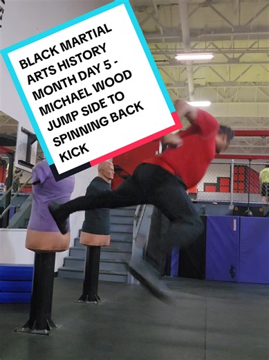 Michael Woods is an American martial artist, actor, and stuntman best known for his roles as a high-tier villain in Hong Kong action films of the late 1980s and early 1990s. A former U.S. Navy SEAL, he is highly skilled in Taekwondo and Wushu, having trained at the Tai Chi Arts Association in Boston under Grandmaster Bow-sim Mark. There he struck up a close friendship with Madam Bow-sim's son, Donnie Yen. Donnie soon invited Michael, along with fellow martial artist and mutal friend John Salvitt