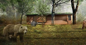 First glimpse at how bears and wolves will be reintroduced in Bristol