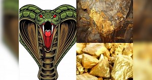 sonbhadra gold: 12 लाख करोड़ के खजाने की रक्षा कर रहे हैं हजारो सांप