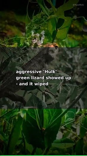 Did You Know? A Hulk Lizard Erased Millions of Years of Evolution #Shorts
