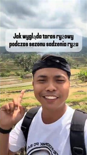 🌾 Bali w sezonie sadzenia ryżu! Tak wyglądają najsłynniejsze tarasy ryżowe 🇮🇩