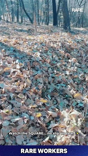 Strong Air Blower: Machine Moves Leaves Very Far