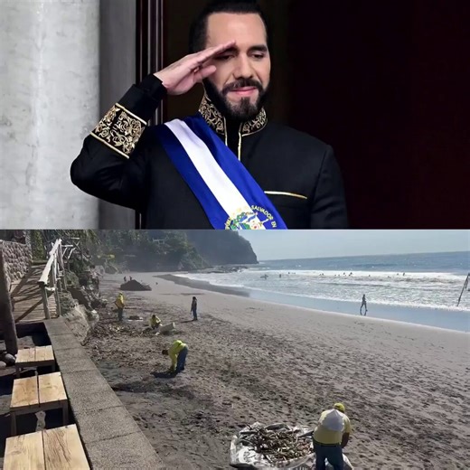 🇸🇻 ÉNORME : Le président salvadorien Nayib Bukele est félicité pour avoir fait nettoyer les plages et embellir le Salvador par les prisonniers de son pays, au lieu de les laisser rester assis dans un bâtiment.Voilà comment on fait avec les criminels !