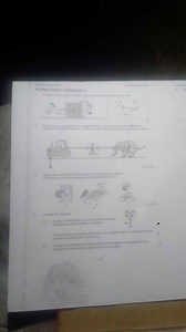 Identify ALL the EFFECTS the forces have on each of the objects... | Filo