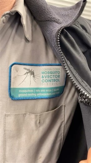 Contra Costa Mosquito and Vector Control District on Instagram: "We’re huge fans of where we work and what we wear to work! You can always count on the District’s Technicians to show up to your Service Request in style and in a work vehicle. These fits ensure we’re easily identifiable by our community and ready for any mosquitoes or yellowjacket inspections / treatments and other vector services we offer. #contracosta #specialdistricts #eastbayarea #fitcheck #ootd"