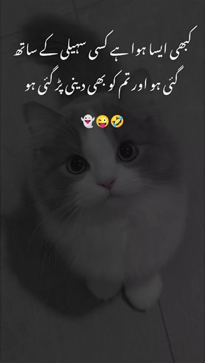 Short funny poetry for growth and laughs