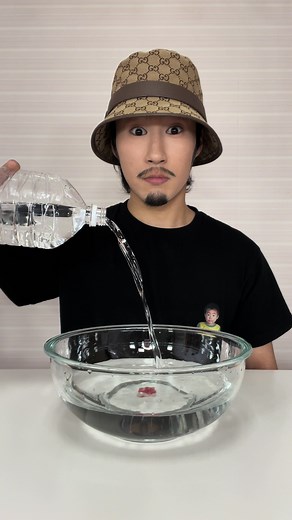 Hilarious TikTok Experiment Challenges and Life Hacks Compilation