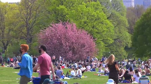 U.S. census data to show a diversifying country